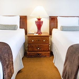 Deluxe Twin Studio Two Twin Beds No Air-Conditioning